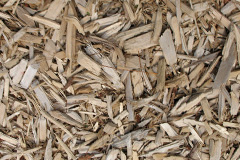 biomass boilers Galmpton